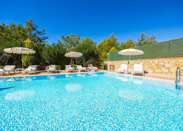 Four Seasons * 올루데니스