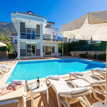 Four Seasons فيلة