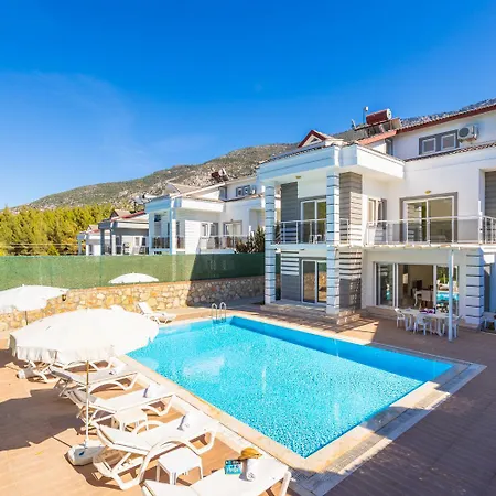 فيلة Four Seasons *