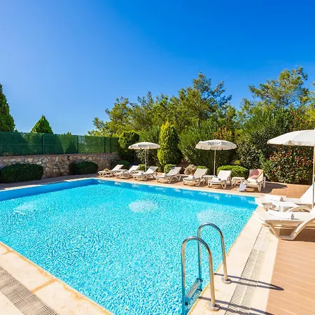 فيلة Four Seasons